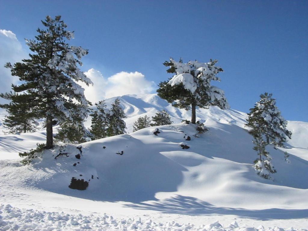 Etna Snow&Sea Lejlighed Piedimonte Etneo Eksteriør billede